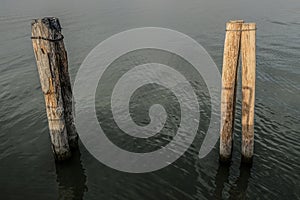 Lake dock wooden poles after the morning fog