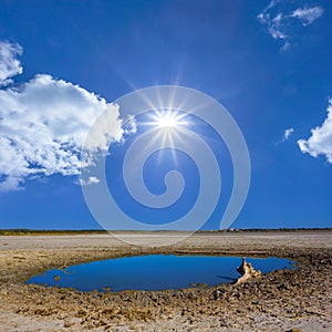 lake among dry saline land under a sparkle sun