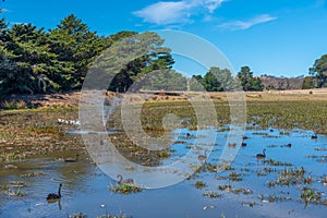 Lake Dulverton at Oatlands, Australia