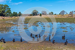 Lake Dulverton at Oatlands, Australia