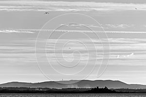 A lake at dusk, with a distant town in the mist, birds flying an