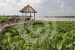 Lake-dwelling on the Mekong river, Vietnam