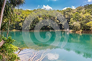 Lake Eacham with dark green Water surrounded by Trees, Queensland, Australia