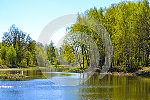 Lake early in the spring. Trees, sunny day, blue sky.