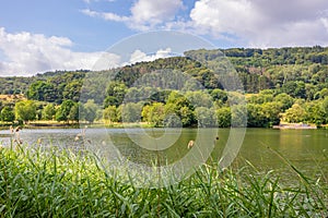 Lake Echternach, hills with abundant leafy trees in misty background
