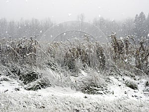 Lake Effect Snow Squall suddenly appears in FingerLakes countryside