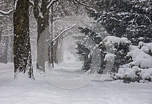 Lake Effect Snow in Hamburg