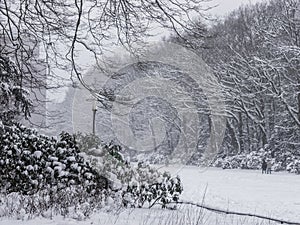 Lake Effect Snow in Hamburg