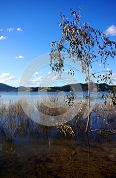 Lake Eildon - Homepoint