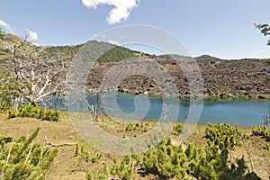 Lake El Escorial and petrified Forest, Chile.