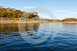 Lake El Salto Mexico with mesquite tree stumps