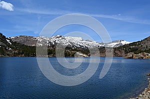 Lake Ellery, Tioga Pass Road, Yosemite, California, USA