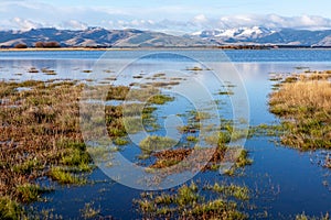 Lake Ellesmere Wetlands, New Zealand