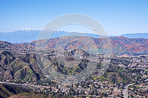 Lake Elsinore Poppies 2019