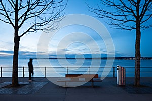 Lake embankment bench and sunset near Lake Constance, Bregenz