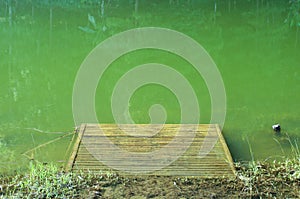 Lake Emerald, Thailand