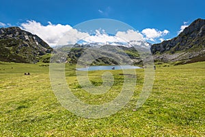 Lake Ercina. Cantabrian. Covadonga. Asturias. Spain.