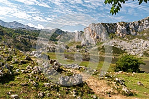 Lake Ercina, one of the group known as Lakes of Covadonga, in the Picos de Europa National Park Asturias, Spain