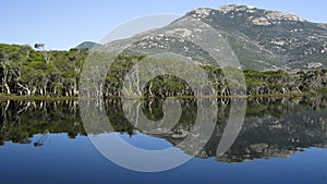 Lake and eucalyptus forest in australia