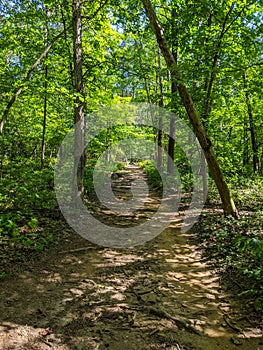 Lake Fairfax Park Hiking Trail in Northern Virginia