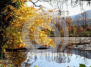 Lake in the fall in the North Carolina mountains