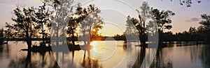 Lake Fausse Point State Park, LA