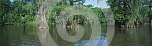 Lake Fausse Pointe State Park