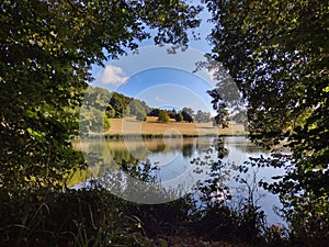 Lake and fields viewed through a gap in the trees