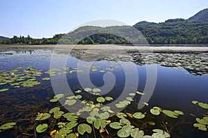 Lake of Fimon