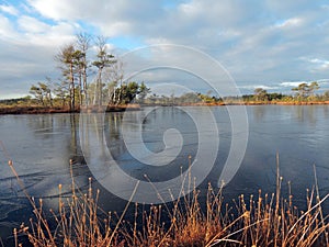 Lake with first ice in winter