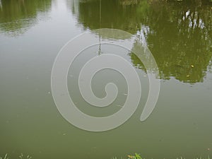 Lake with fishes