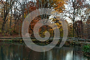 Lake flowing under bridge, into autumnal forest