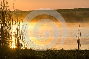 Lake and fog