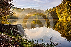 Lake fog landscape with Autumn foliage and tree reflections in Styria, Thal, Austria