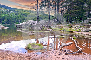 Lake in the forest