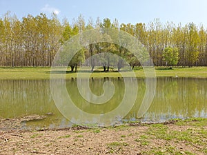 Lake in the forest background landscape in the spring