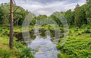 Lake in forest, beautiful nature of