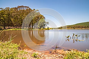 A Bosque en presa 