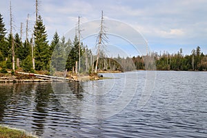 Lake in the forest of the Harz mountains in Lower Saxony, Germany.