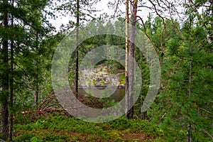 Lake forest islands in Siberia. Lake Tagasuk, Russia