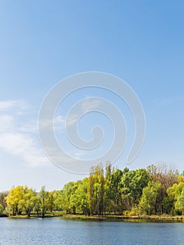 Lake and forest landscape