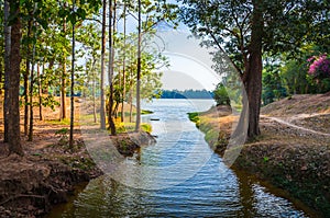 Lake and forest near temple complex Angkor Wat, Siem Reap, Cambodia