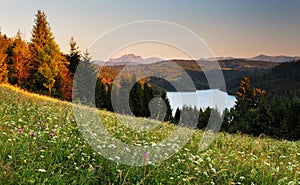 Lake and forest - Nova Bystrica dam photo