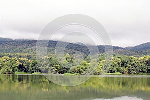 Lake with forest reflection wave and The mountain is covered with fog.