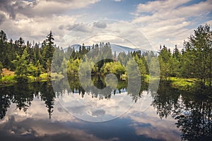 Lake in the Forest