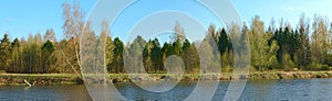 Lake and forest on the shore in early spring on a clear sunny day.