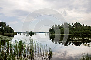 Lake and forest on the shore, a reflection of the sky in the water