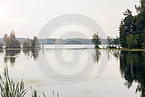 Lake and forest on the shore, a reflection of the sky in the water