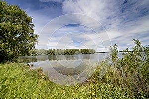 Lake and forest in sunny summer day