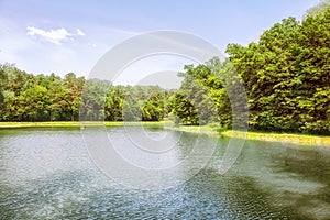 Lake in forest in sunny summer day panoramic view